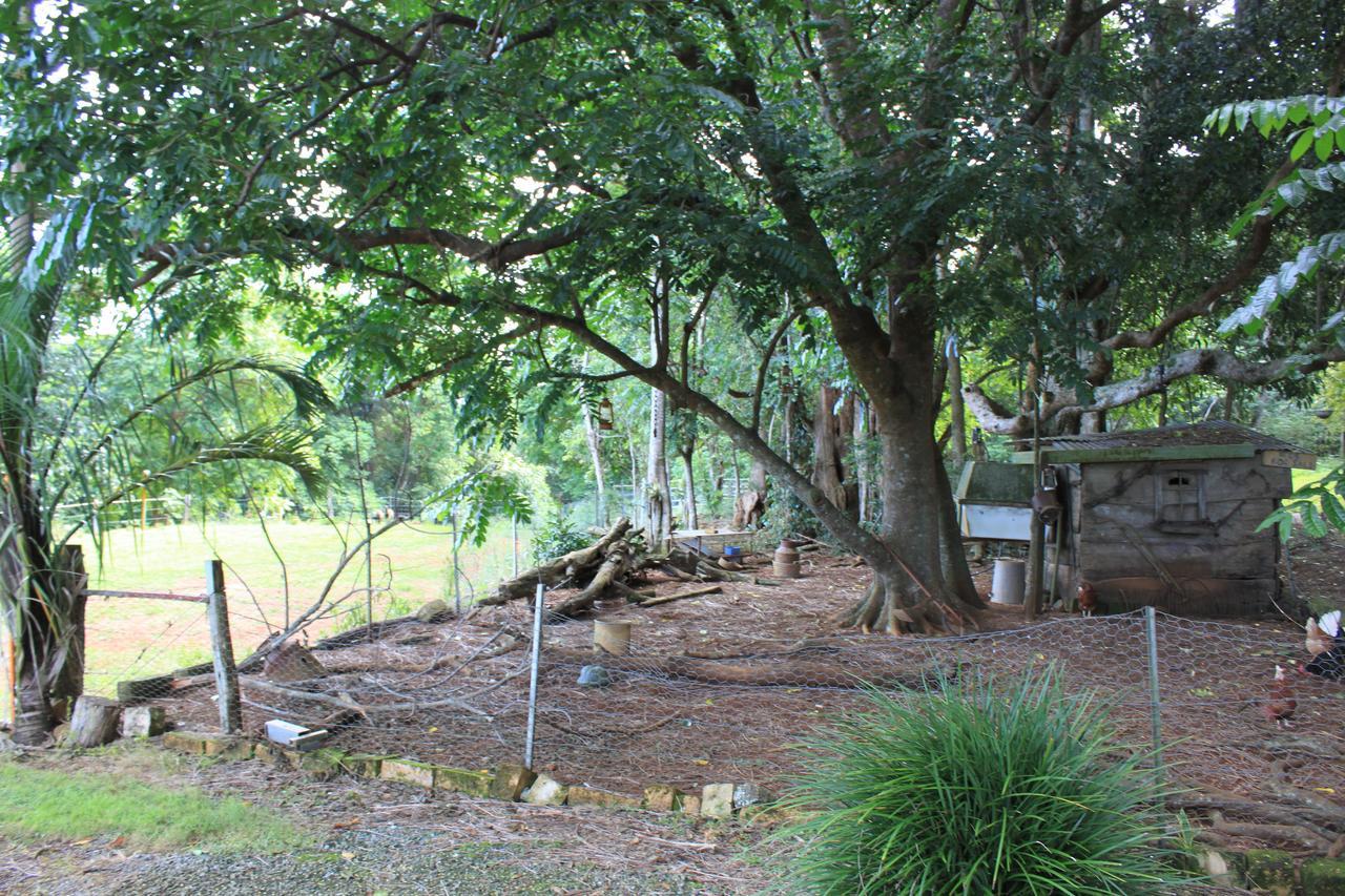 Alstonville Country Cottages Exteriör bild